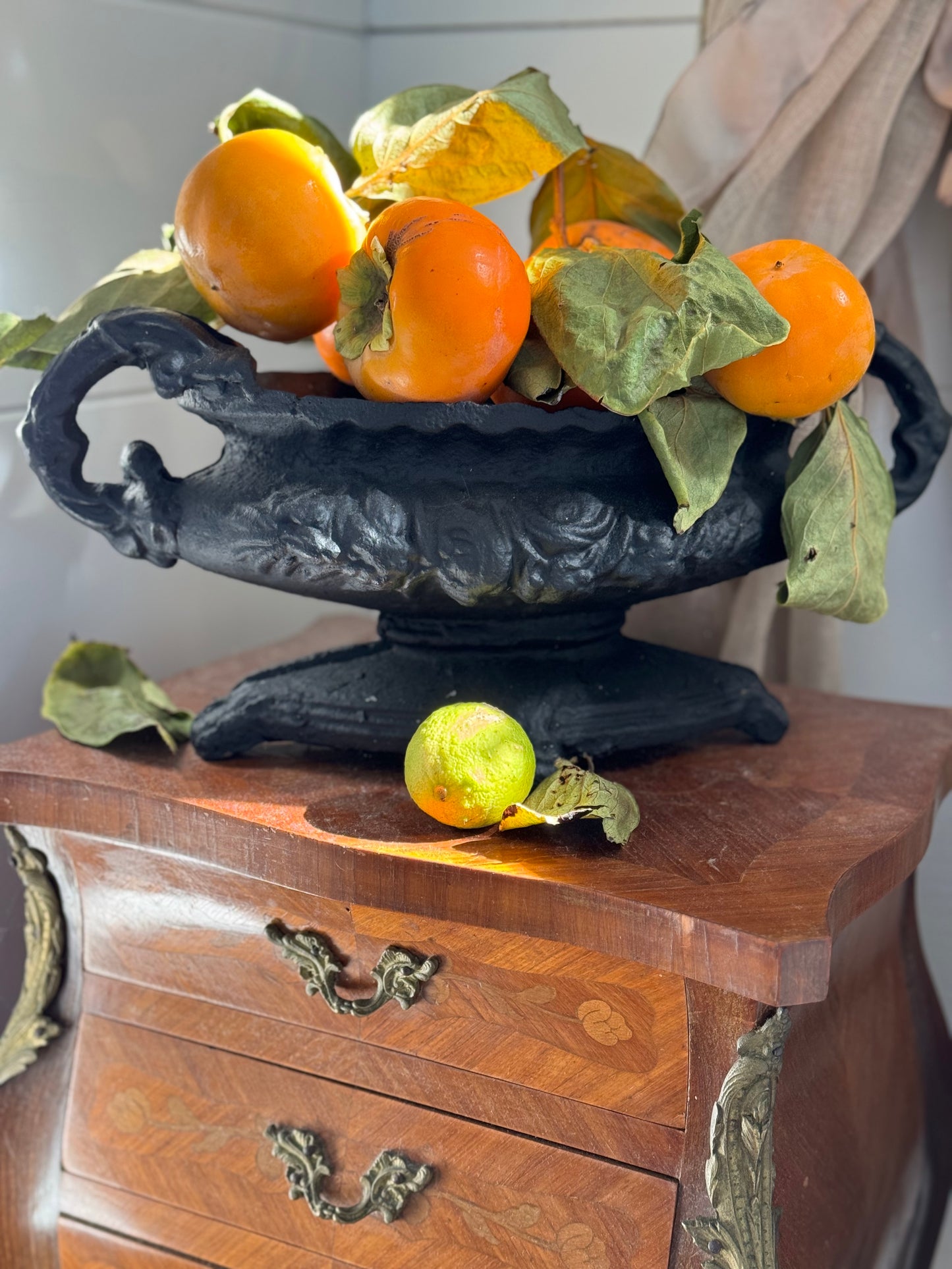 Cast Iron Jardinière