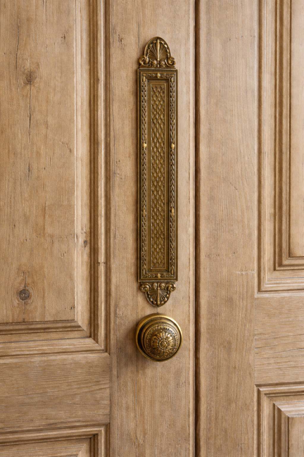 French Brass Push Plates Long