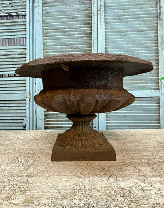 19th Century Cast Iron Jardinière's - large