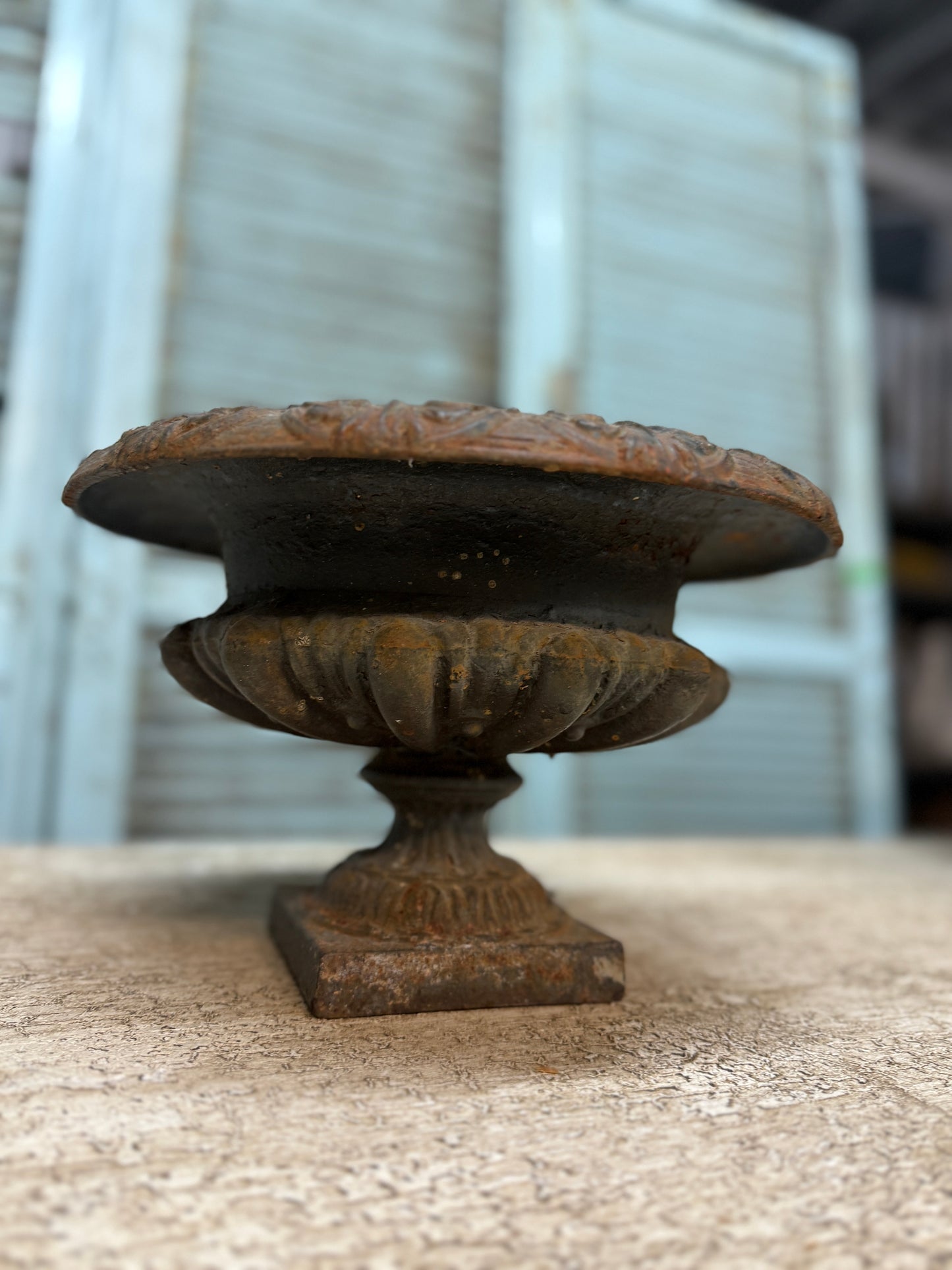 19th Century French Cast Iron Jardinières - petite