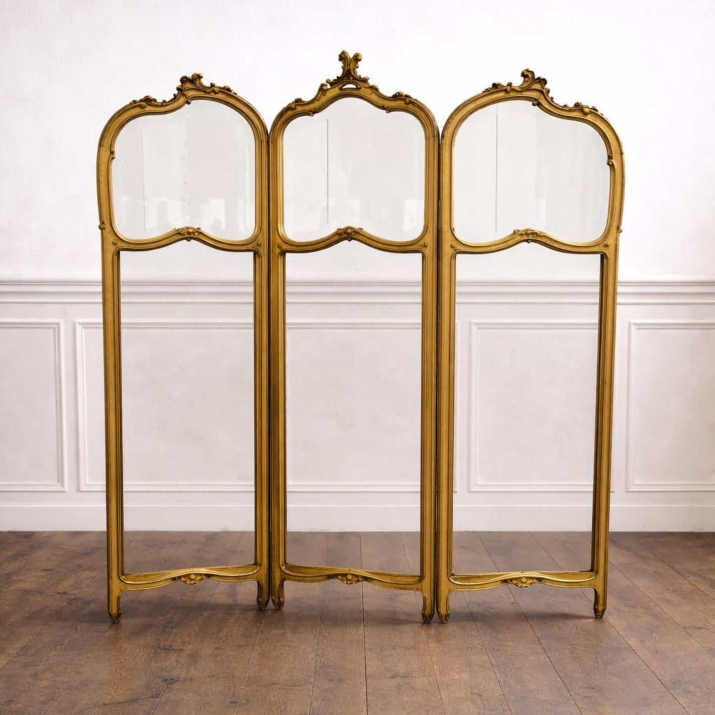 Louis XV 19th Century French Paravent