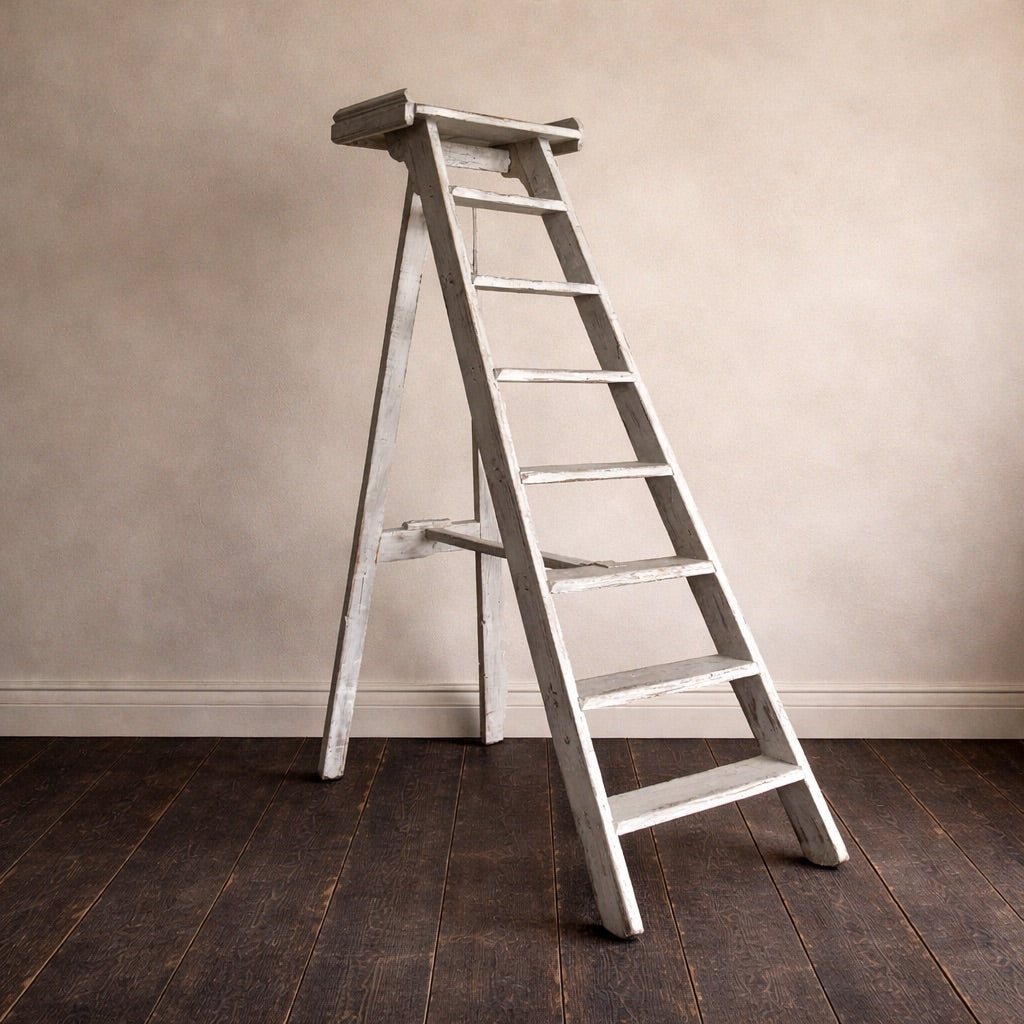 French Antique Library Ladder — Tall, “B.N. Paris” Bibliothèque Nationale