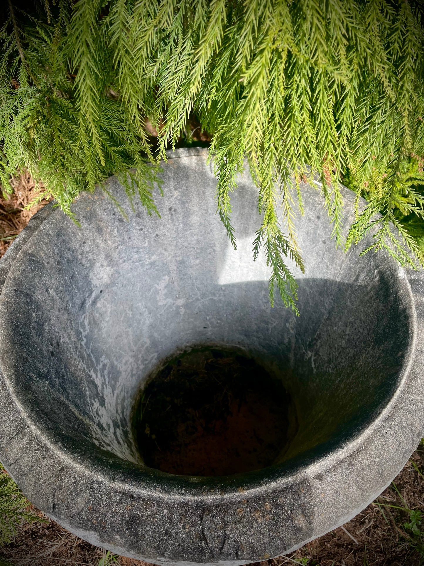 Large Ornate Outdoor Pot