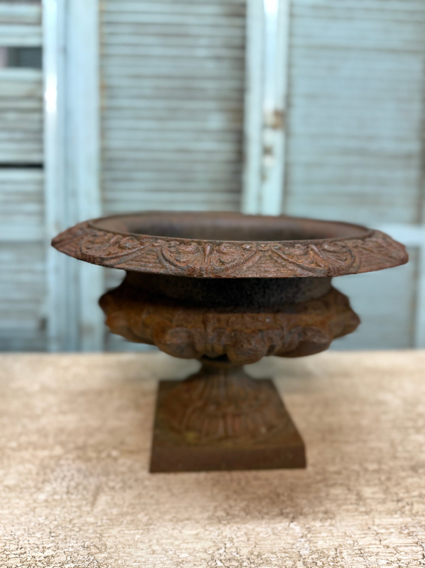 19th Century Cast Iron Jardinière's - large