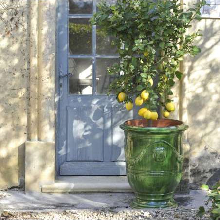 Authentic Anduze Pots